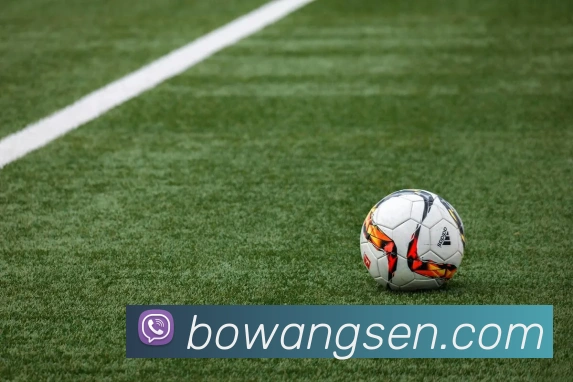 九游体育手机官网入口平台生态图