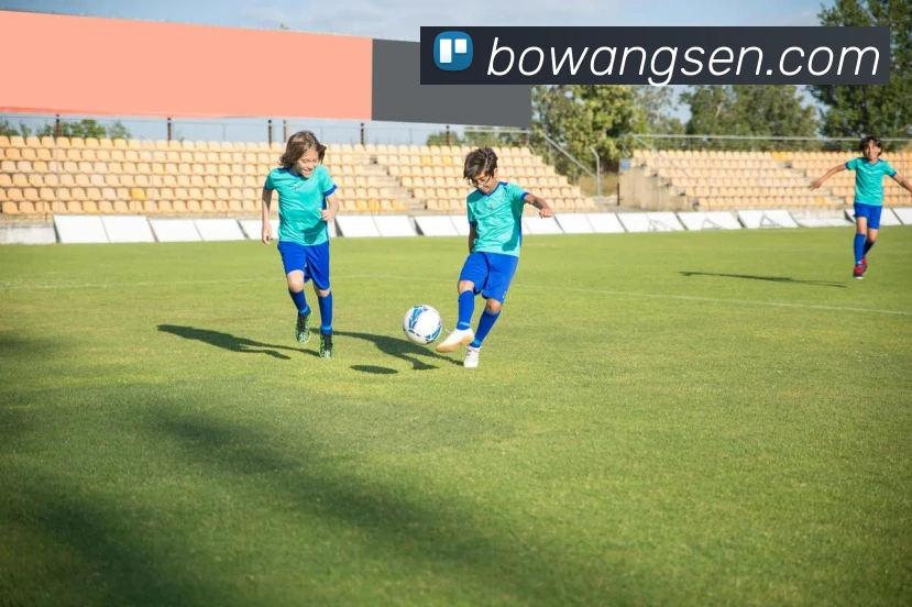 九游体育手机官网入口全站App